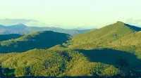 Sugar Mountain- Sweet Suite