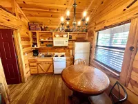 Cabin in town, walking distance to the courthouse square.