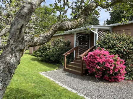 Private Beach Access Trail, peaceful wooded setting - sleeps 3 Отели рядом с достопримечательностью «Нью Дангенесс Лайтхаус»