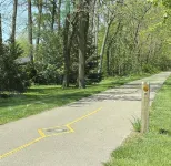 Spacious cottage by lake & walking trails, 1 mile from downtown Shipshe.