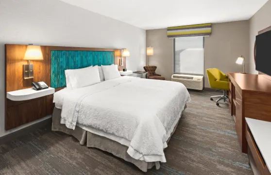 希爾頓歡朋酒店-錫康克