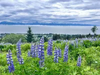 Cozy home with a view, newly remodeled.