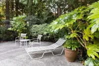 Cozy Downtown 2BD Bellevue Condo Free Parking