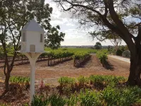 Boutique accommodation peacefully set amongst you're own private vineyard
