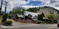 Snoring Bear Condo 2 Bed/2 BA Views Pool Walk to d'Town Gatlinburg / Anakeesta