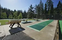 Black Bear Den ~ Access to Private Lake! Heat and AC