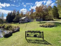 Adirondack Cottage - Four Season, Pet-Friendly, Cozy & Beautiful. Read  reviews!