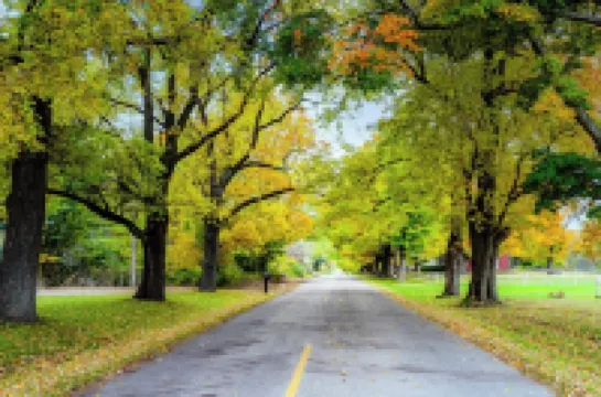 Spacious Condo, Family Friendly, Walk to Private Beach Hotels in Lake Michigan Beach