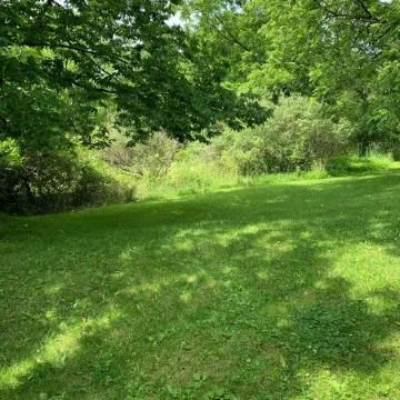 Charming, spacious, exceptionally clean & private apt! Ideal Ithaca location!