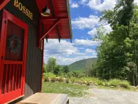 Handcrafted mountain cabin with gorgeous views