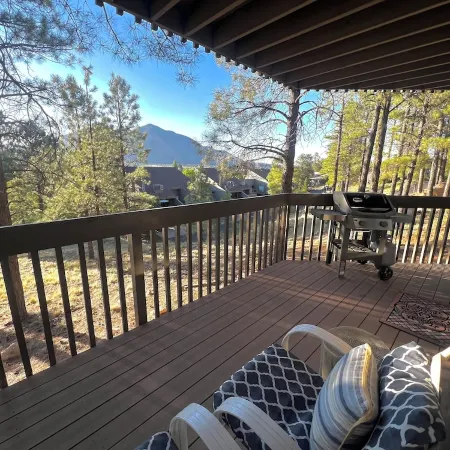 Tranquil Retreat In the Pines w/Mountain Views! Updated 1 Bed 1 Bath