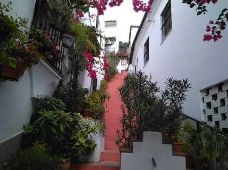 HOUSE EL CALLEJON DE BENAMAHOMA Отели рядом с достопримечательностью «Ruta del Amor (Setenil de las Bodegas)»