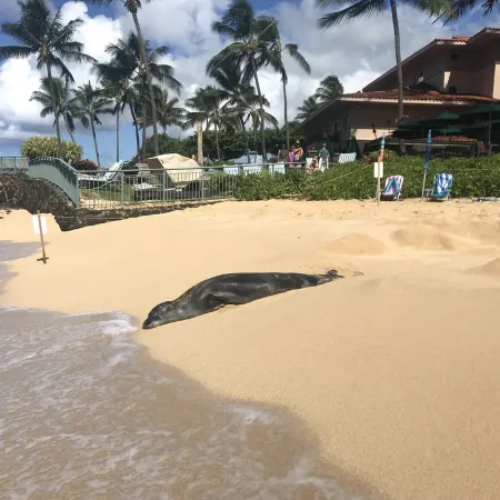 Sunny Villa Poipu Beach