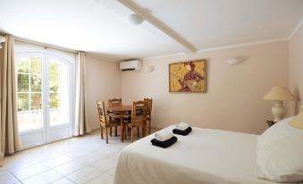 Charming Villa in the South of France with Private Pool and Gardens