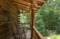 Sleeps 11! 5BR/2.5BA LRG Log Cabin on 5 Acres, Close to Hendo/AVL, TWO Kitchens! Hotels in Mountain Home