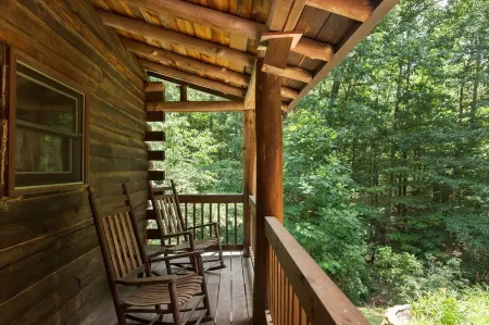 Sleeps 11! 5BR/2.5BA LRG Log Cabin on 5 Acres, Close to Hendo/AVL, TWO Kitchens!