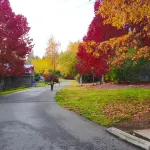 WARM AND INVITING, PEACEFUL No steps, Wide doorways , Recliner, Garage - 4-Sterne