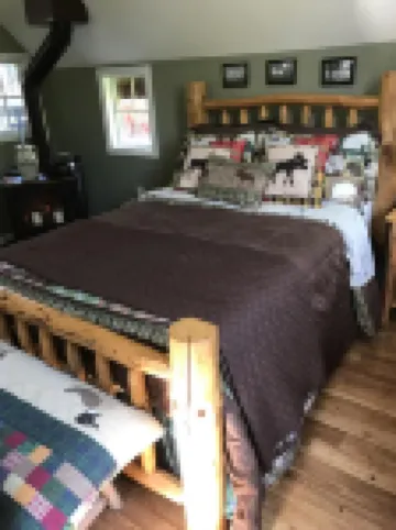 Tree house  lots birds  great location . ..... lots to do all summer long ......