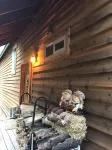 Upscale & Beautiful spacious cabin near Twain Harte with a/c