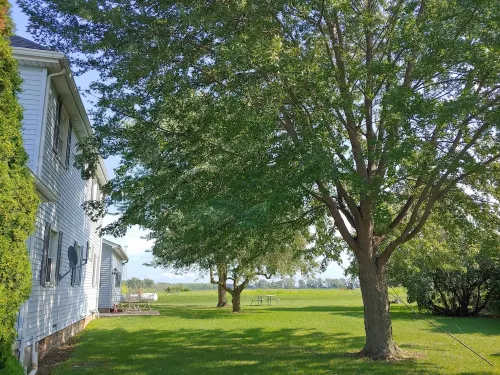 Rural Retreat yet close to the sites. Cedar point*Jet Express* African Safari - Wifi