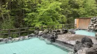 Tomuraushionsen Higashitaisetsusou Hotels in Shintoku
