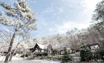 비발디하우스 사용자 후기
