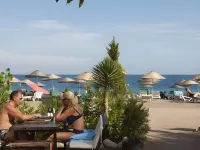 كوتل هوتل