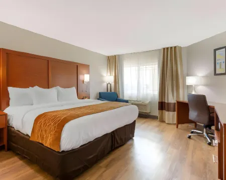 Comfort Inn & Suites Hotels in Milford