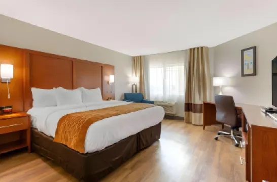 Comfort Inn & Suites Hotels in 