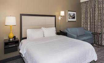 Hampton Inn & Suites Minneapolis University Area