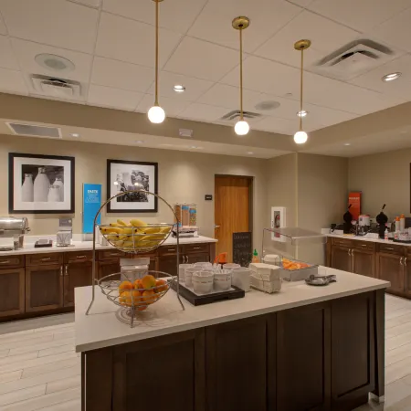 Hampton Inn and Suites by Hilton Tampa Busch Gardens Area