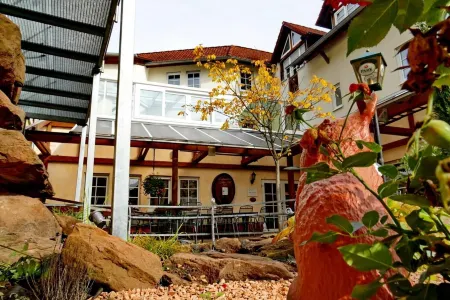 Zum Ochsen Отели в г. Дан