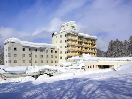 Ryuo Mountain Hotel