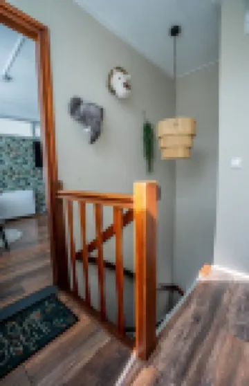 The Lion King Hotels in 