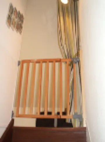 ドード エ タルティーヌ ザ11