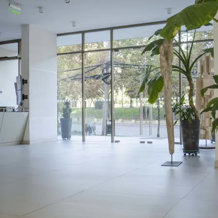 Loica Suites