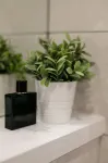 Elliot Suite No3 - Donnini Apartments - 4 tähden