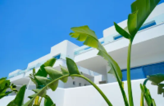 สวีทหรู นาร์ซิโซ