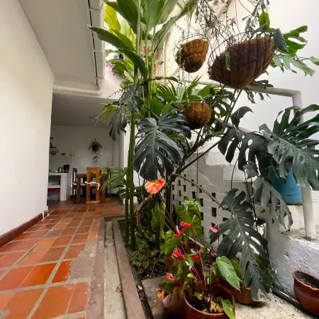 Hostal Chontaduro