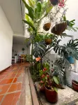 Hostal Chontaduro Hotels in 
