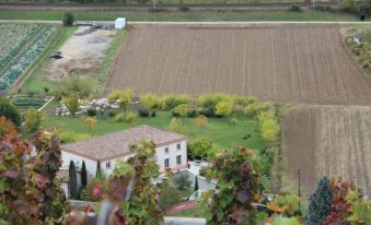 Hôtel le Domaine des Vignes Ampuis Lyon Sud Vienne