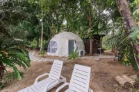 Roxy Telok Serabang Hotels in 