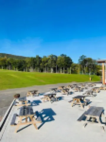 Lotus Family Suite w/ (2) Beds, Kitchenette #4