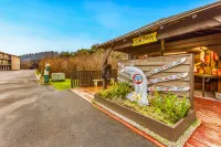 Ocean View and Private Deck - Stunning Coastal Escape Hotel a Moclips