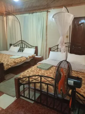 Palm Airport Suites
