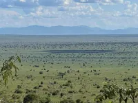 Cheetah Campsite Lumo Hotel a Mtito Andei