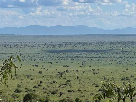 Cheetah Campsite Lumo Отели в г. Mtito Andei