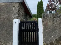 Cedarbank's - the Little Art House - Dog Friendly Hotels in Dunoon