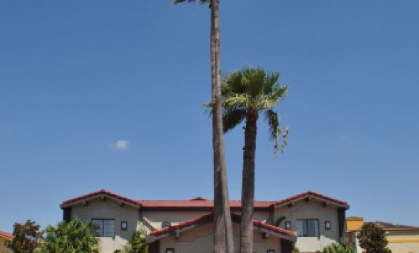 Quality Inn Harlingen