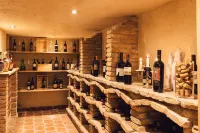 Wellness Refugium & Resort Hotel Alpin Royal - Small Luxury Hotels of the World - bar
